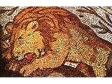 A Lion in a mosaic floor at the Byzantine Beth Gubrin. When this was made, lions were still found in Israel.